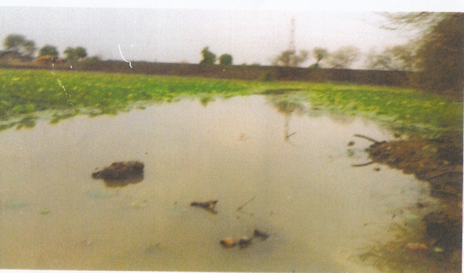 bramghan-phata_1&nbsp;&nb